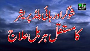 Read more about the article أقا دو جہان(PBUH) کے نعلین مبارک کے صدقے انشاءاللہ شوگر اور ہائی بلڈ پریشر مستقل نارمل